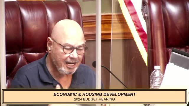 City leaders confront financial crisis and development delays