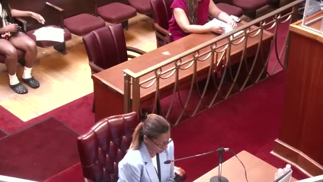 City Council Faces Backlash Over Vacant Lot Ordinance