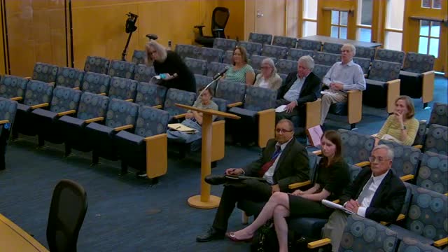 Meeting chaos prompts urgent call for efficiency