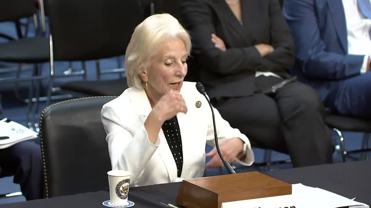 Senators warn of national security threats from fentanyl and border issues