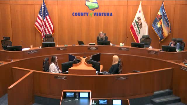 County Council Debates Controversial Property Purchase Decision