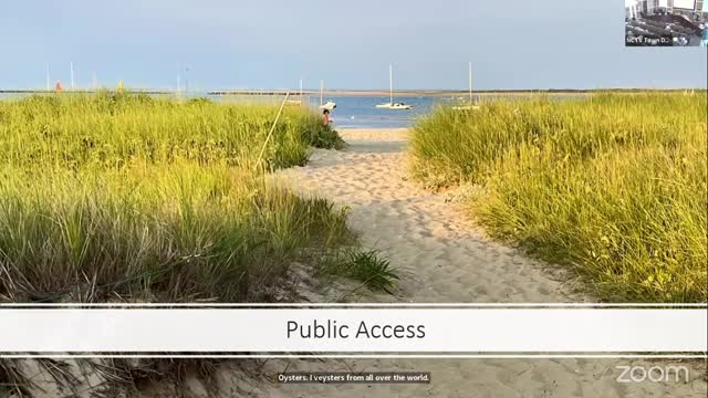 Urgent call to protect Nantucket's scallops and water quality