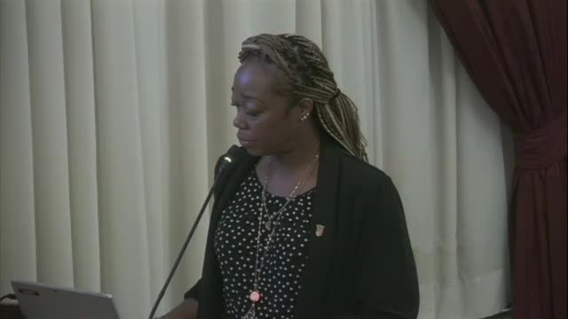 City moves forward with ambitious West City redevelopment plan