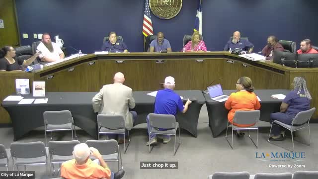 Chamber proposes bold changes to revitalize Bayou Fest