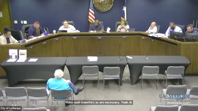 Council debates need for forensic audit amid budget concerns