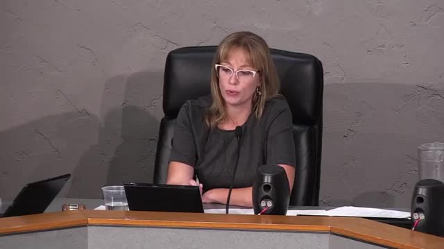 Council debates safety measures amid concealed carry law changes