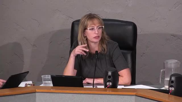 City Council Debates Concealed Carry in City Hall