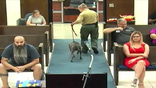 Mayor declares August National Breastfeeding Month in Shawnee