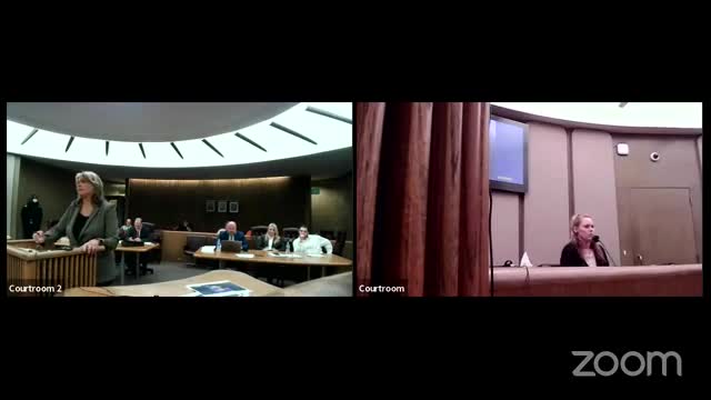 Witness reveals chilling details about Kayla Rice's last days