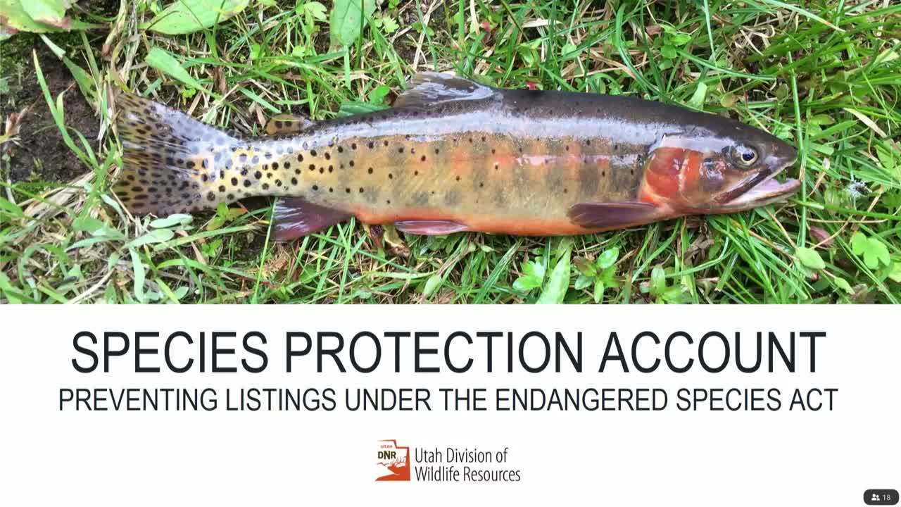Utah wildlife officials tackle endangered species crisis