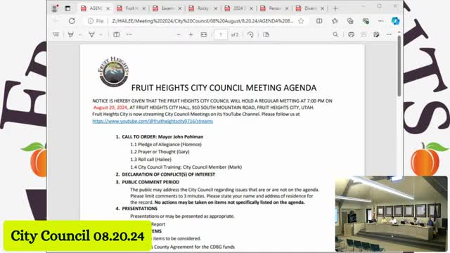 Geese teach us teamwork and resilience in leadership