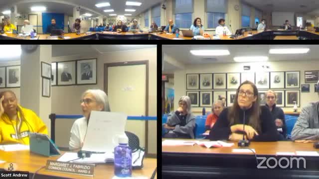 City Council Debates Innovative Sidewalk Solutions Amid Challenges