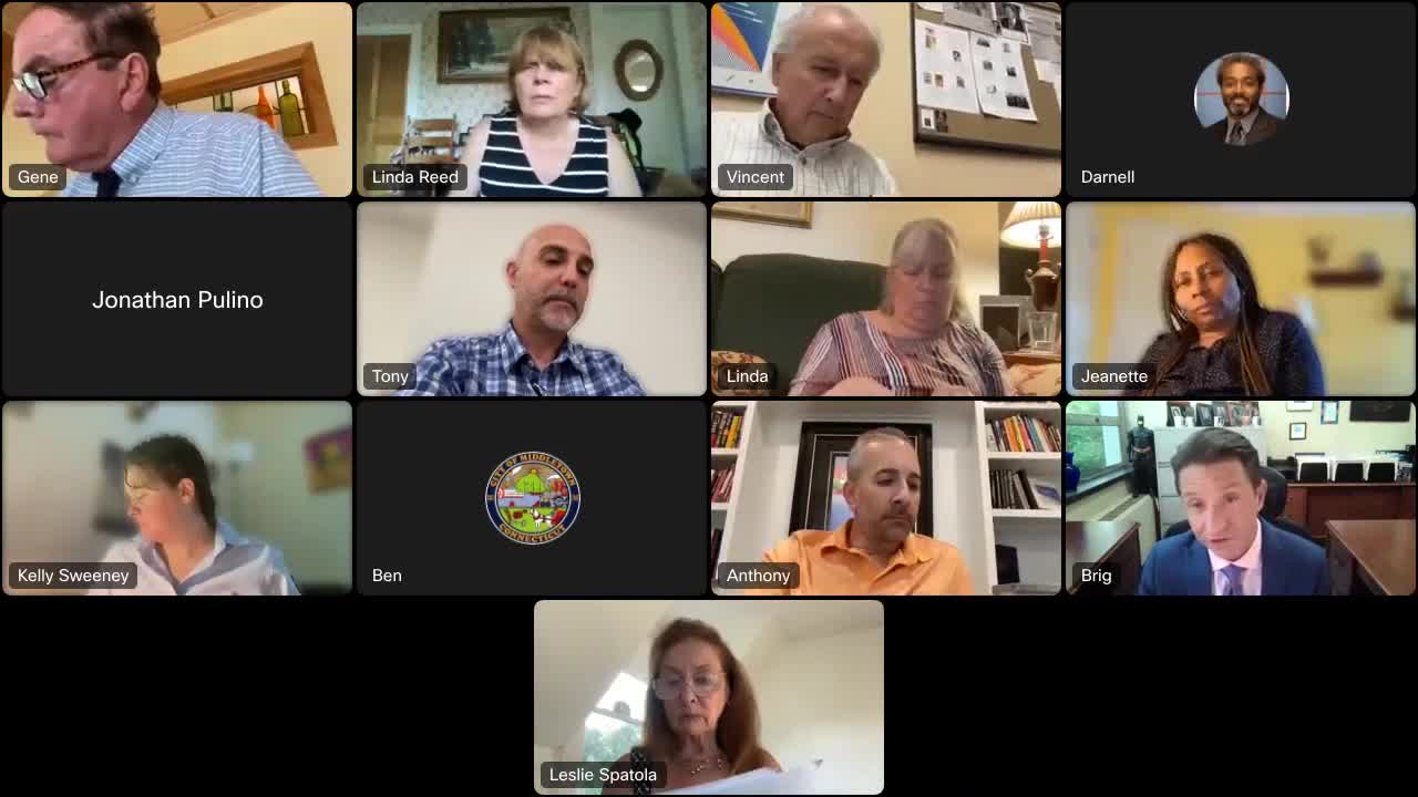 City Council Faces Backlash Over Controversial Noise Ordinance Changes