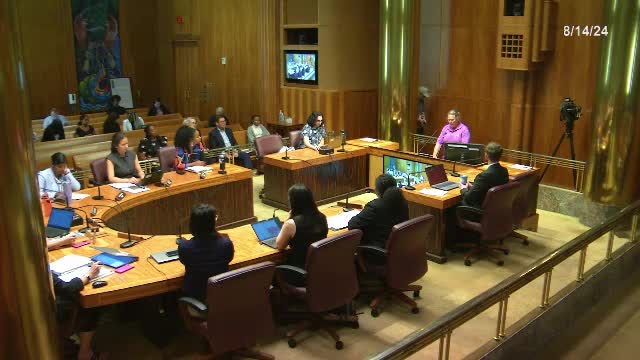 Residents Demand Action on Noise and Parking Issues Near Stadium
