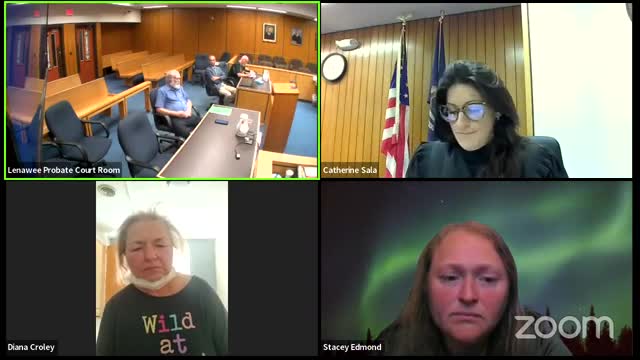 Court hears shocking details of Lori's mental health crisis