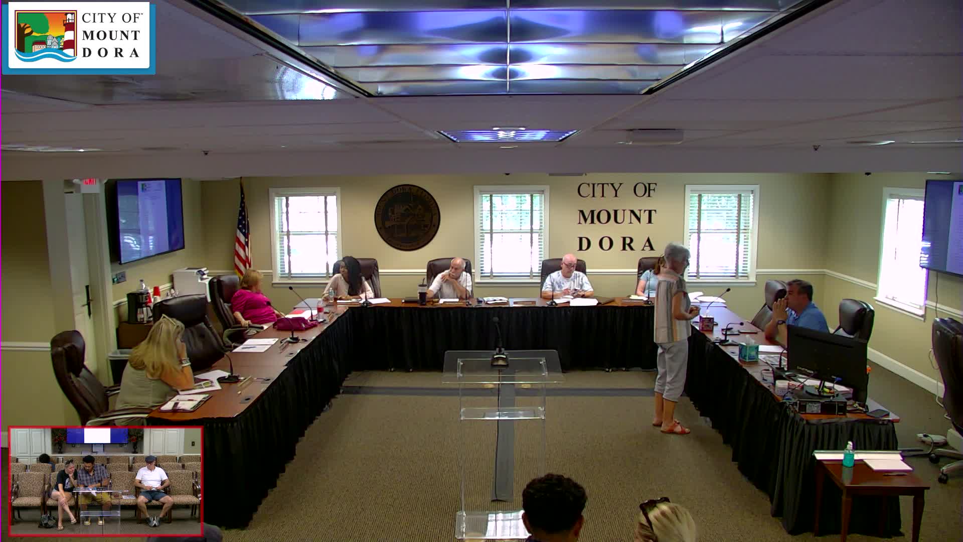 Mount Dora launches innovative aerial art exhibit initiative