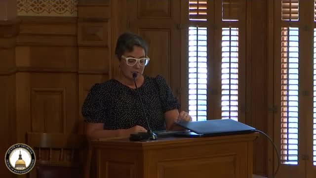 Georgia faces crisis as licensing politics threaten care access