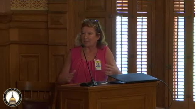 Georgia faces licensing crisis as system glitches persist