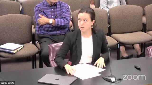 Georgia committee tackles gun safety to protect children