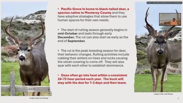 Community rallies to protect local deer population