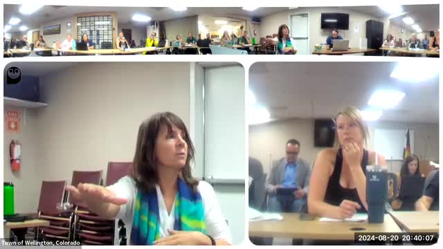 Funding concerns threaten local program's future stability