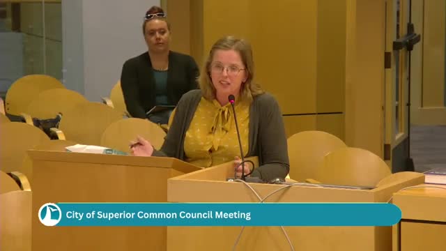 Council decision could delay critical fiber project