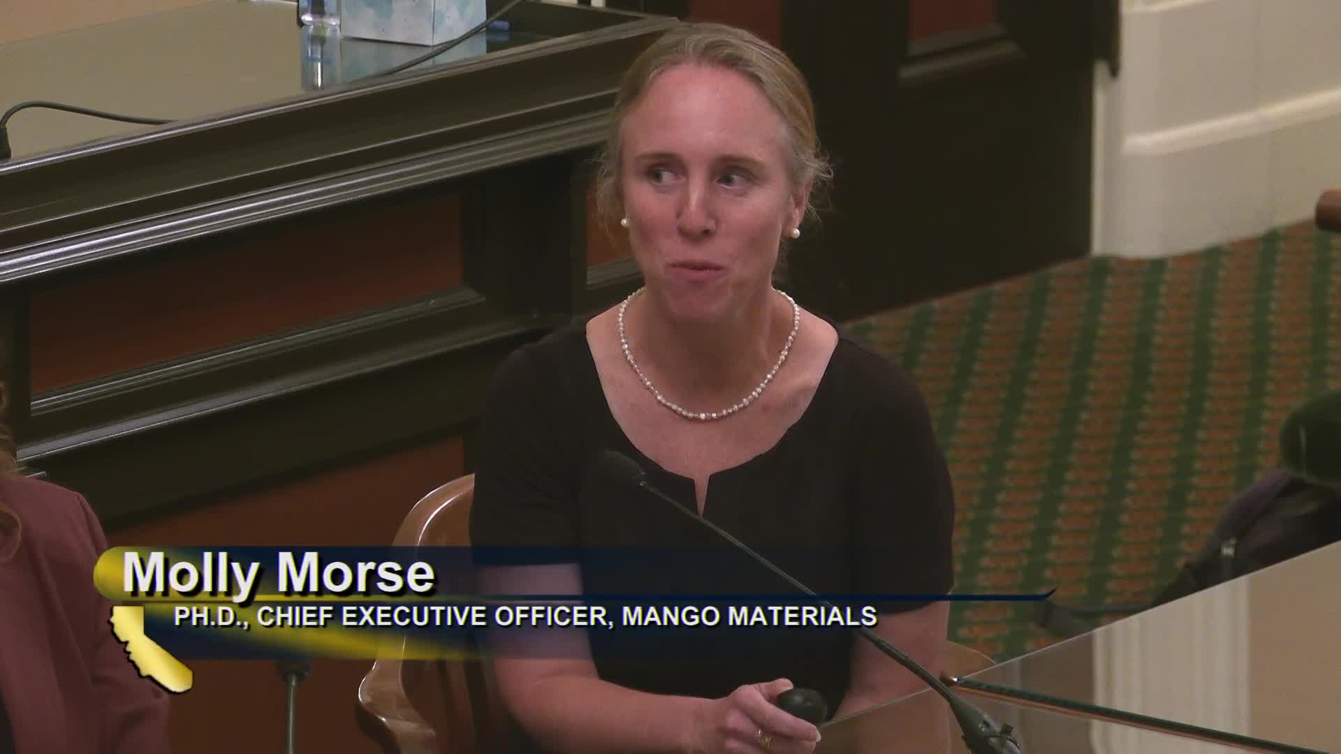 Biotechnology revolutionizes plastics with sustainable alternatives