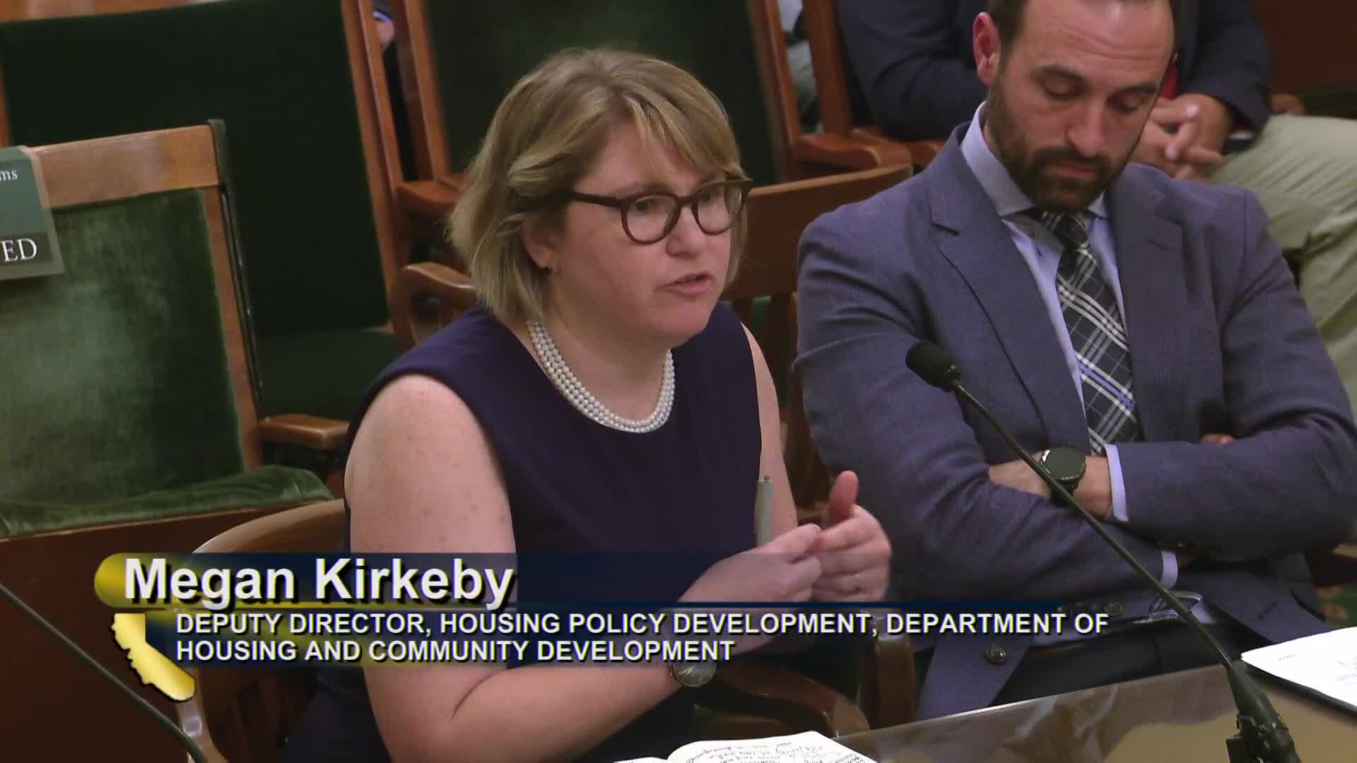 Housing Innovation Sparks Debate Over State Development Strategies