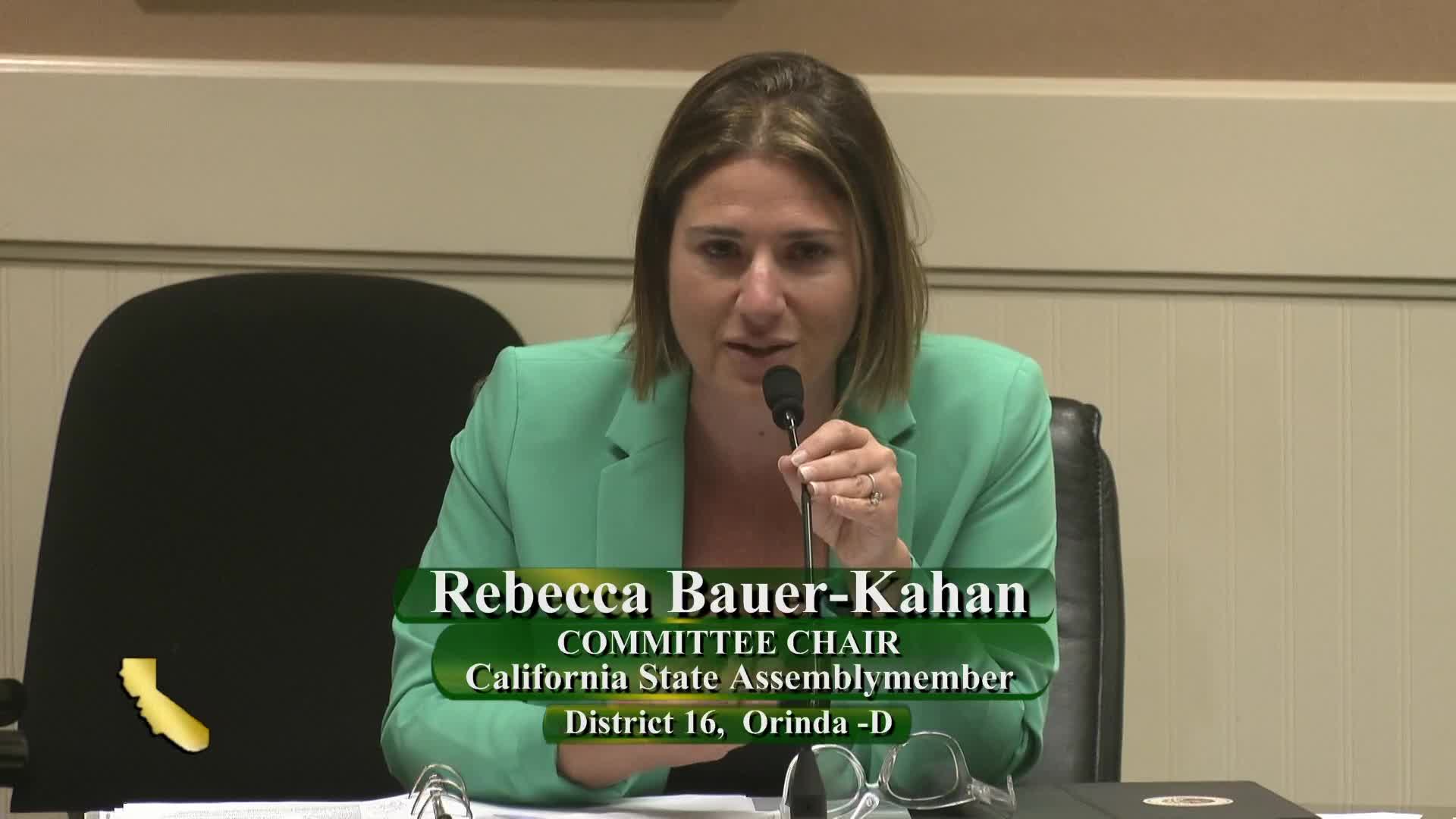 Lawmakers push for stronger AI regulations to protect consumers