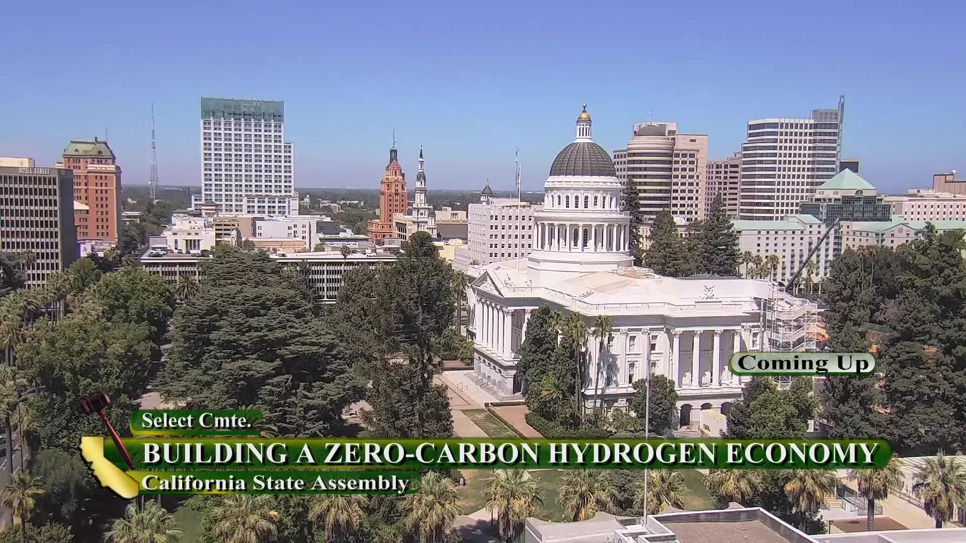 Hydrogen key to carbonless economy in urgent hearing