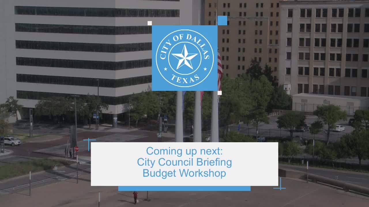 Dallas City Council unveils ambitious budget for 2025
