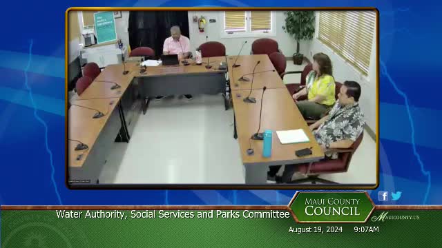 Health officials outline recovery efforts after devastating wildfires