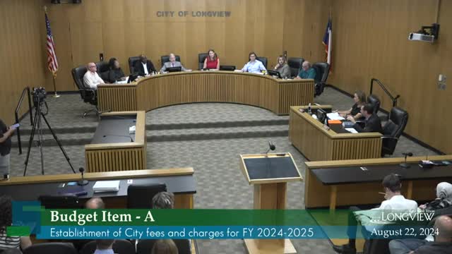Budget Debate Heats Up as Council Faces Tough Decisions