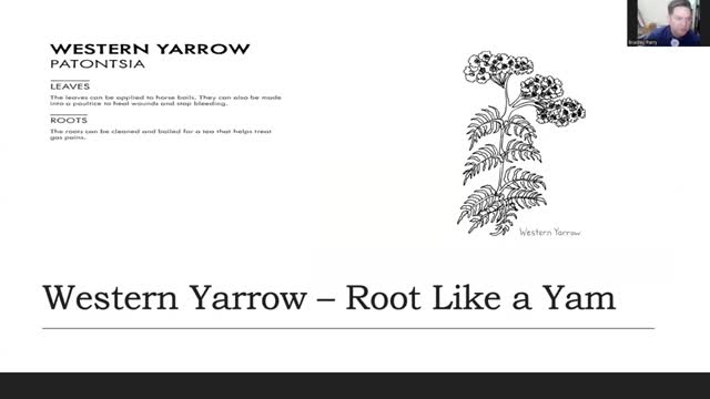 Pioneers and Tribes Clash Over Land and Survival