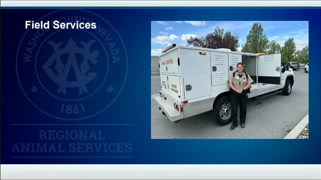 Animal Control Faces Staffing Crisis Amid Summer Surge