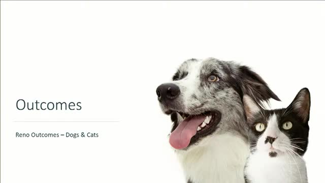 Animal shelter reports surge in adoptions despite challenges