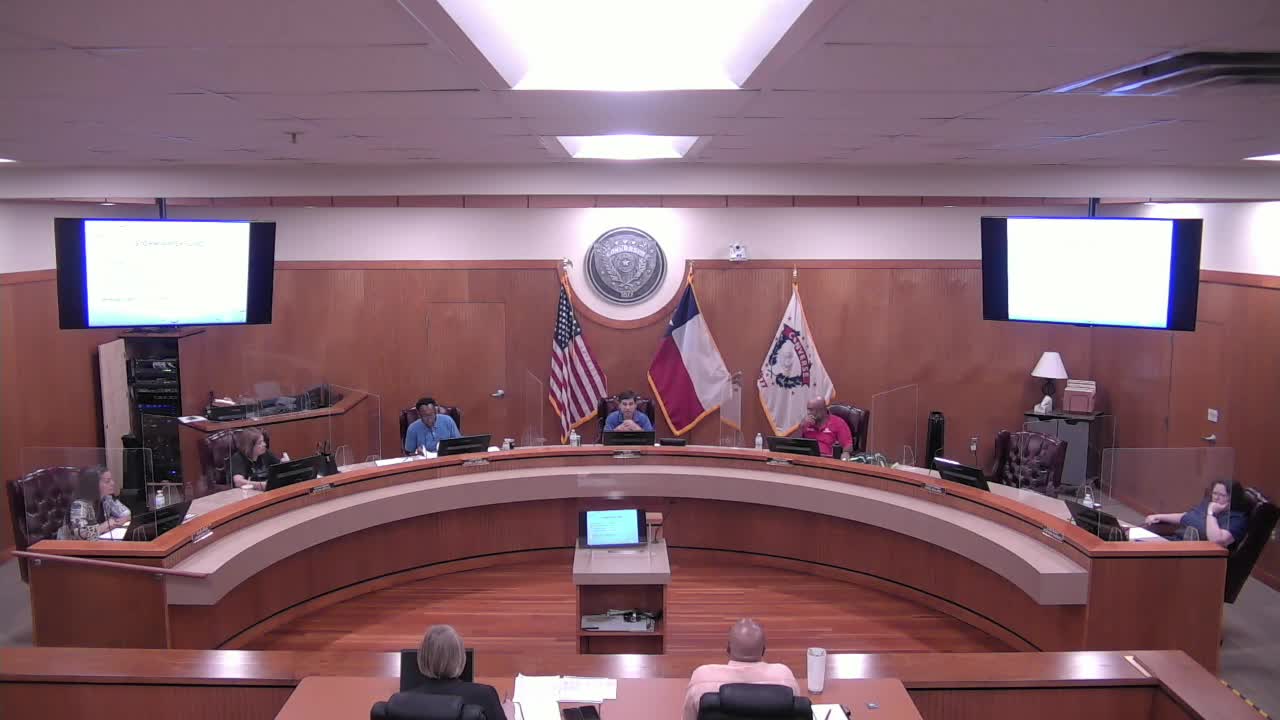 City leaders tackle rising stray dog crisis and pet ownership issues