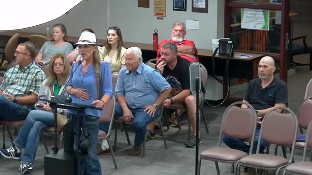 City Council Approves Controversial Firearm Ordinance