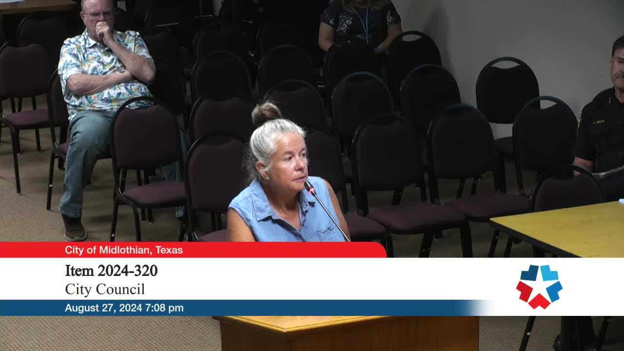 City Council Debates Controversial Surveillance Camera Proposal
