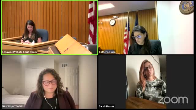 Mother makes progress in custody battle despite domestic violence concerns