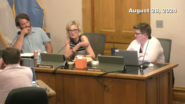 City debates innovative housing solutions amid community concerns