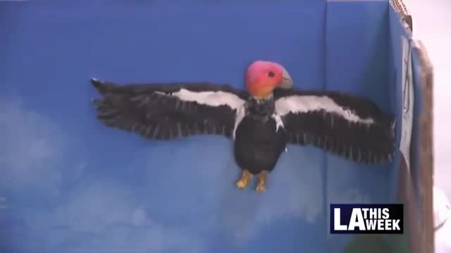 Migrant education program empowers children with confidence