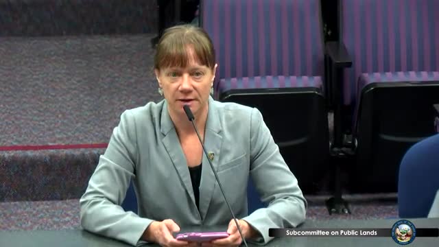 Activists demand urgent reforms for wild horse protection