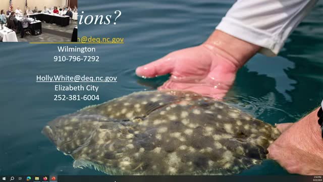 Fishermen demand urgent changes to flounder fishing regulations
