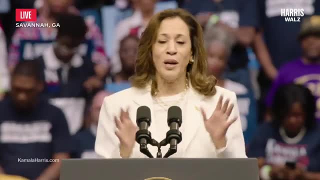 Rallying call to defend American values and democracy