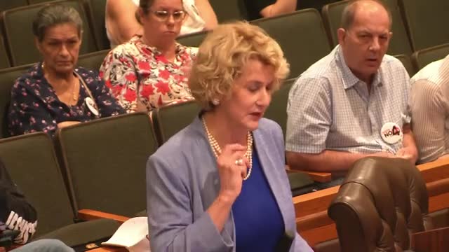 Commissioners urged to oppose controversial abortion amendment