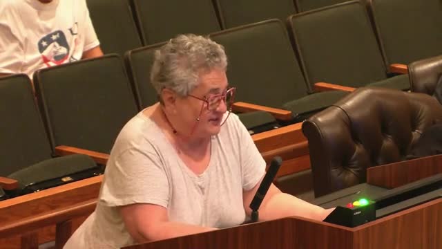 Taxpayer demands forensic audit of county budget decisions