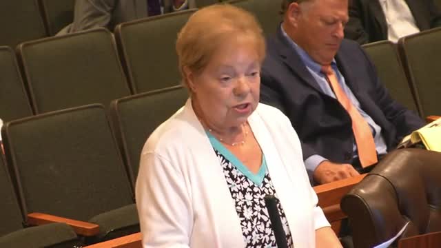 Residents rally against controversial housing development plans