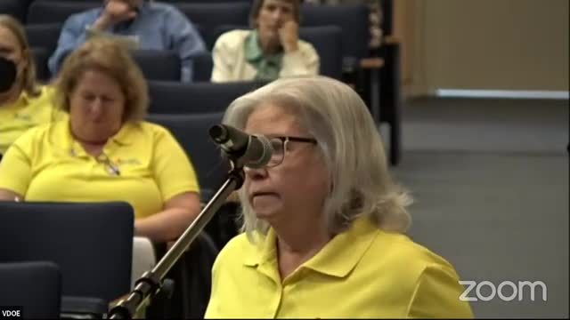 Virginia leaders decry chaotic school funding crisis