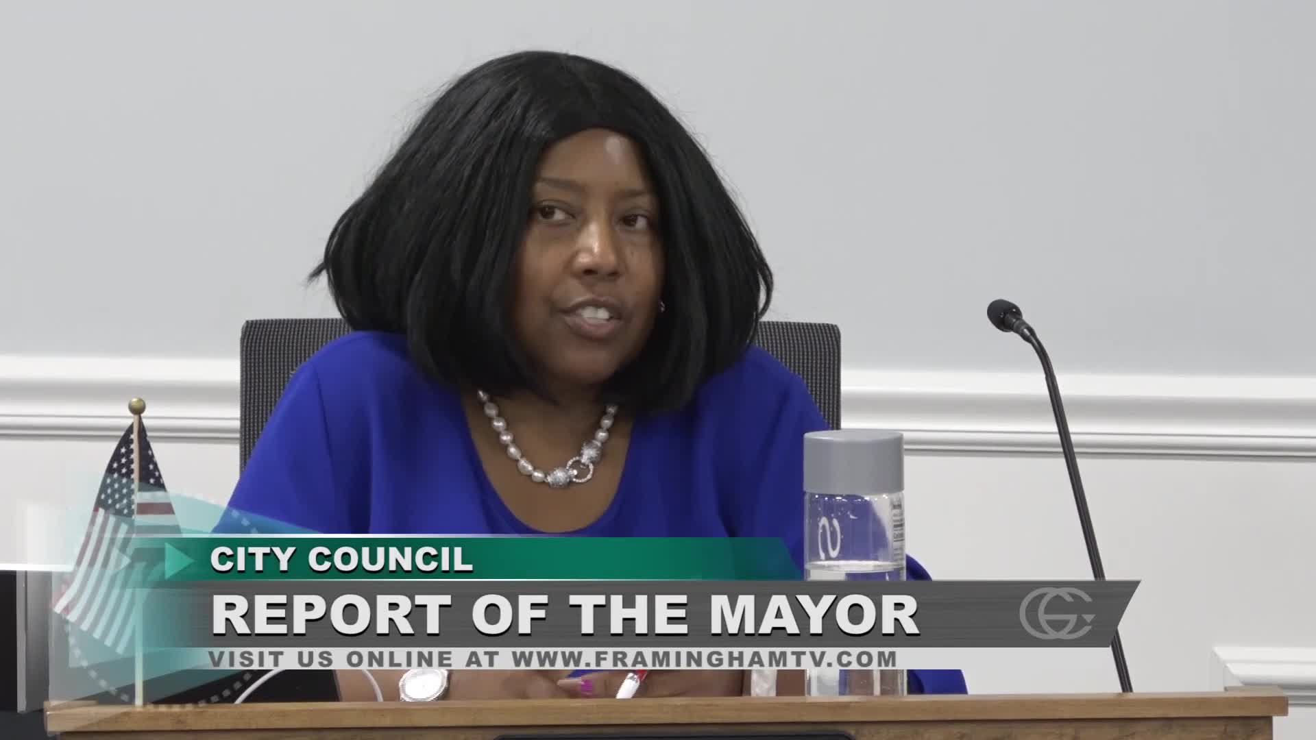 City Council Faces Parking Chaos Amid New Regulations
